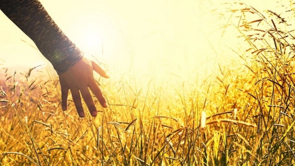 Val de căldură neobișnuit peste România - temperaturi de 36 de grade și praf saharian