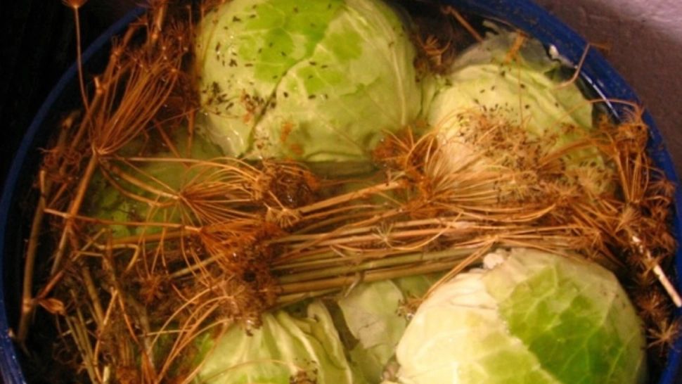 Greşeala pe care o fac toate gospodinele, an de an, când pun varză la murat. Cum trebuie preparată saramura