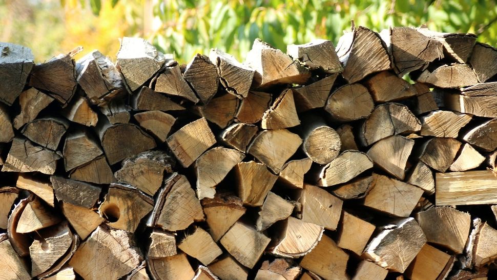 Românii nu își permit să își cumpere suficiente lemne pentru a trece iarna