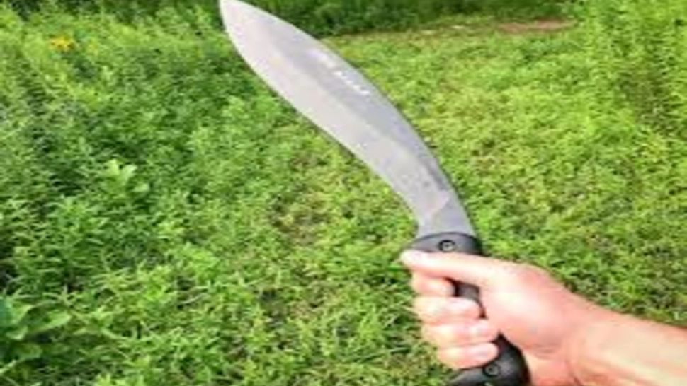 Un bărbat din Blaj a ajuns în arest după ce a fost găsit în parc cu o macetă! Nu era la prima abatere