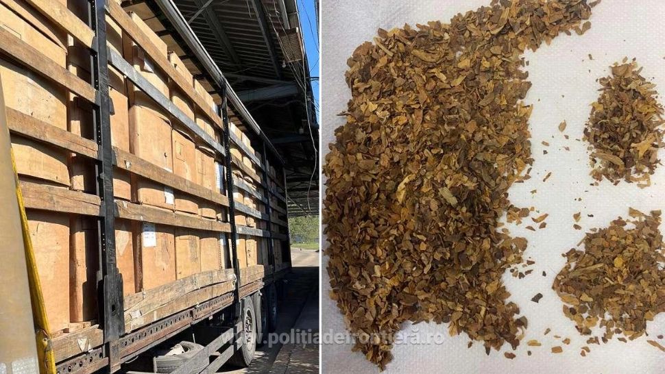 Aproape 14 tone de tutun de contrabandă, în valoare de peste 1,5 milioane lei, descoperite într-un autocamion
