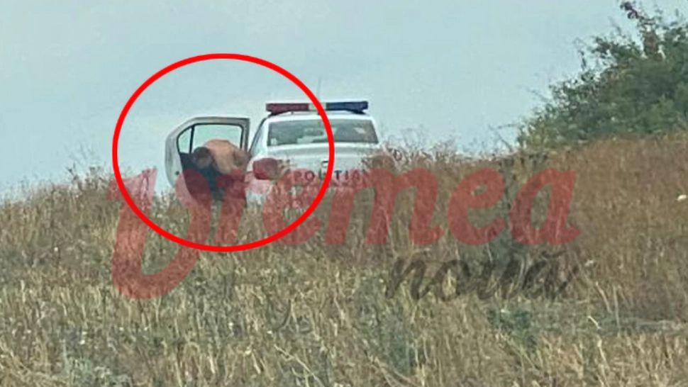 Anchetă de proporții după ce un polițist a făcut sex în mașina poliției - Imaginile surprinse pe câmp