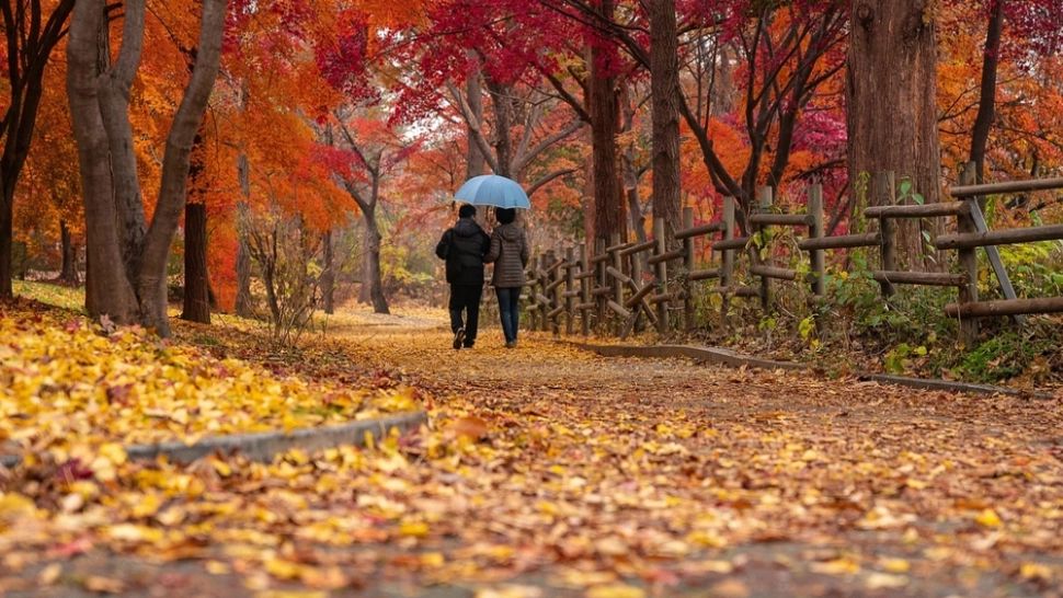 Vremea 9 noiembrie. Temperaturi peste medie în cea mai mare parte a țării. Izolat, ploi slabe