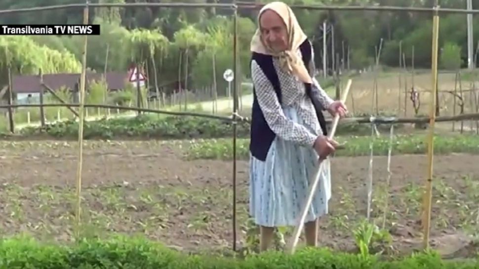 Femeia cu sănătate de fier. La 93 de ani, sparge lemne și cosește iarba 