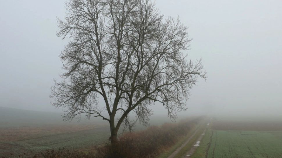 ALERTĂ meteo - Cod galben de ceață și vizibilitate redusă - Sunt peste 10 județe vizate 