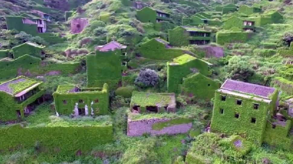 Sat acoperit complet de vegetație, în China. Imagini IMPRESIONANTE - VIDEO