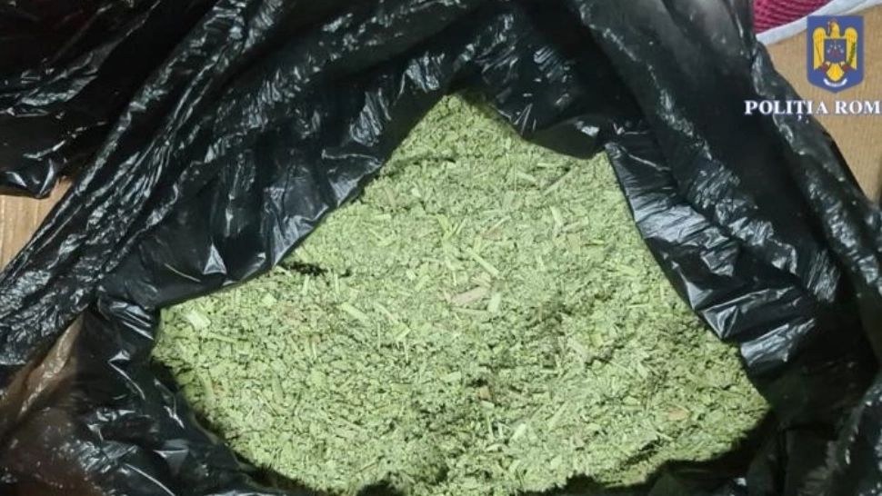 Captură impresionantă a DIICOT în 4 județe din țară - 25 de persoane reținute pentru trafic de droguri - FOTO&VIDEO