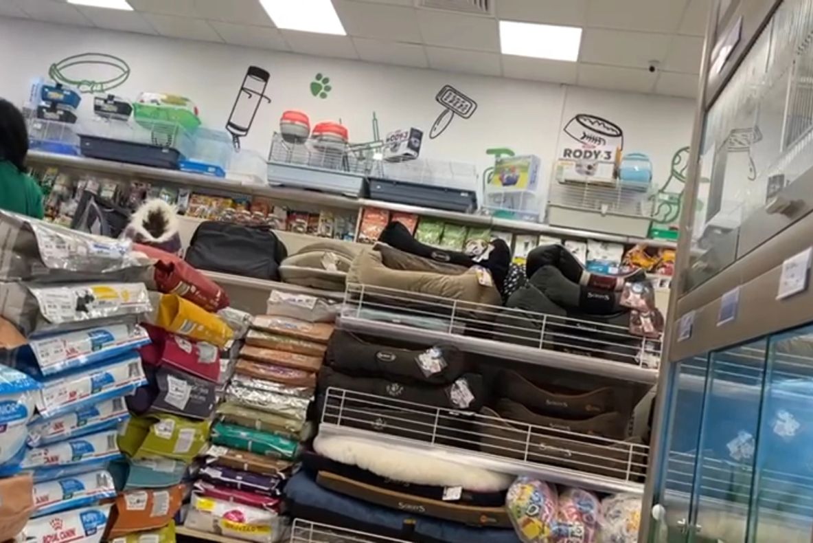 Incident îngrozitor la un mall din Craiova: O fată de 13 ani, dusă urgent la spital după ce i-a căzut un acvariu în cap - A fost deschis dosar penal