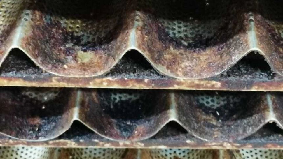 Pâine cu muște și gândaci, la o brutărie din Bolintin Vale. ANPC vrea să închidă magazinul