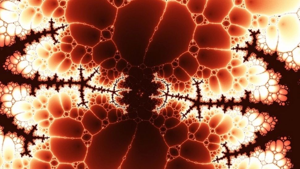 Condimentul care "programează" celulele canceroase să se autodistrugă