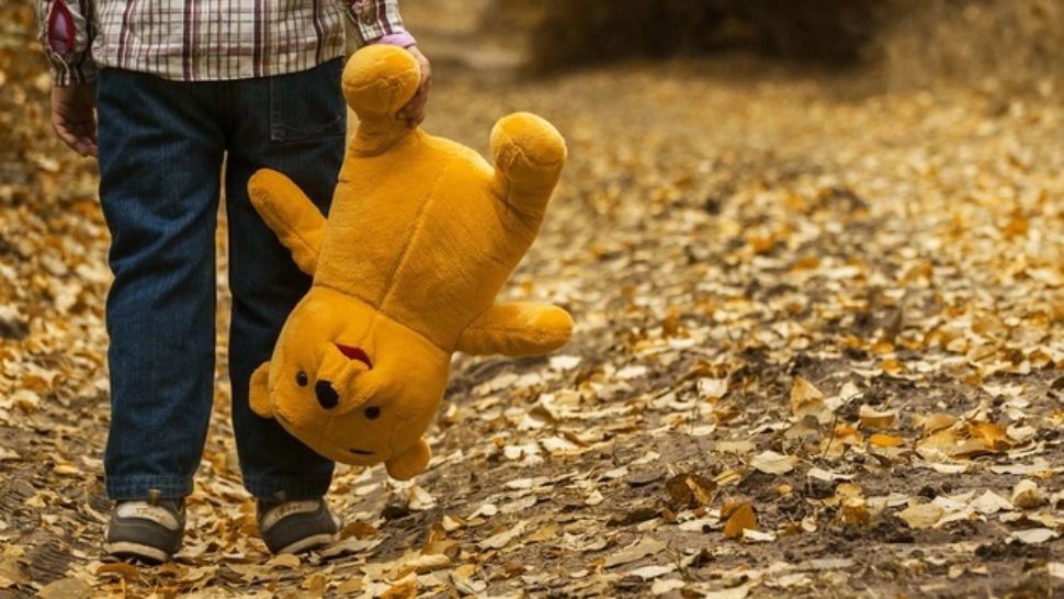 Copilul unui medic român din Franța, dispărut împreună cu mama lui - Căutări în două țări