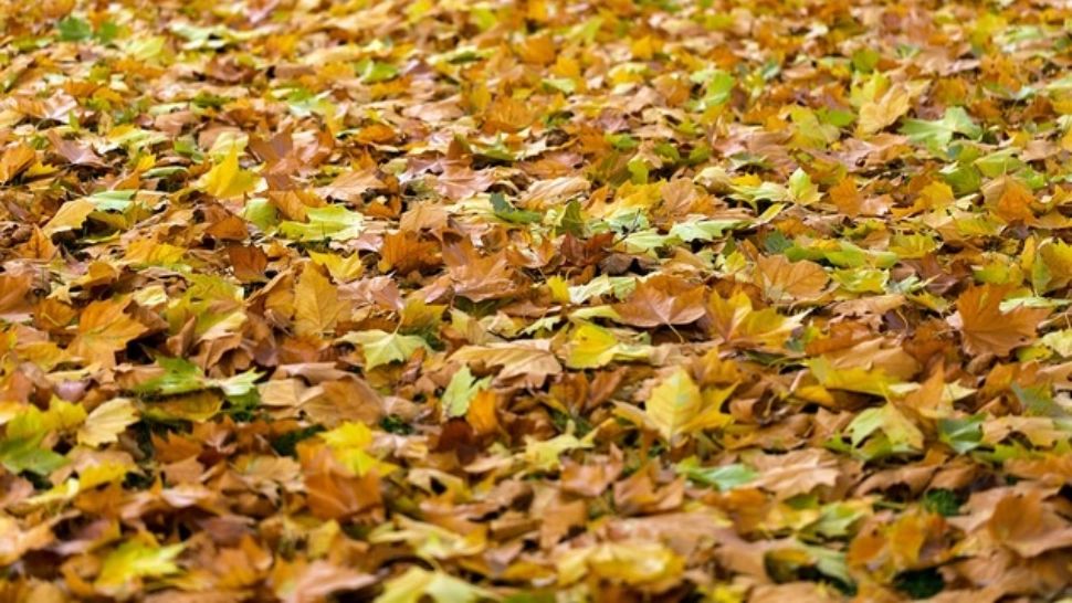 Vremea se schimbă radical: frig pătrunzător, lapoviță și ninsoare