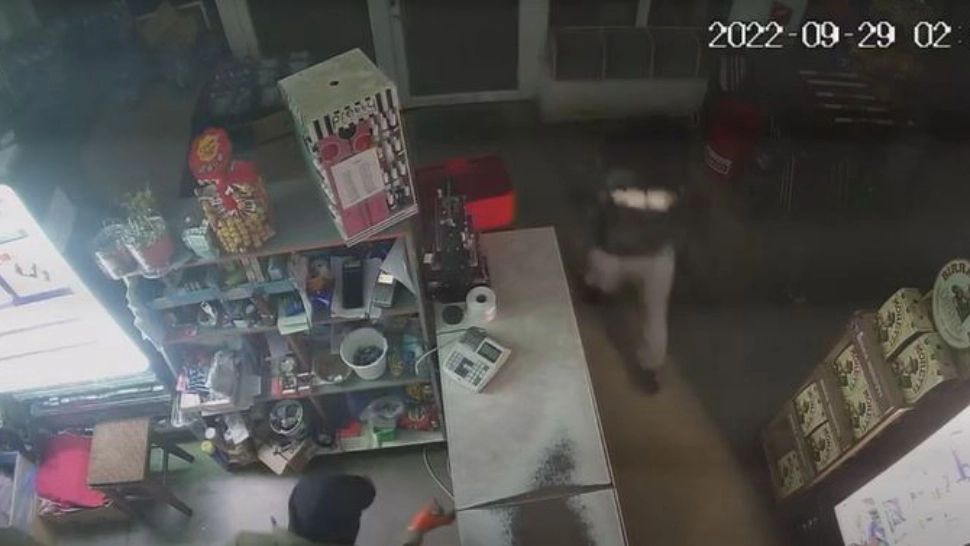 Jafuri ca-n filme, cursă nebunească pe șosea - Doi tineri din Maramureș au spart mai multe magazine după care au făcut accident