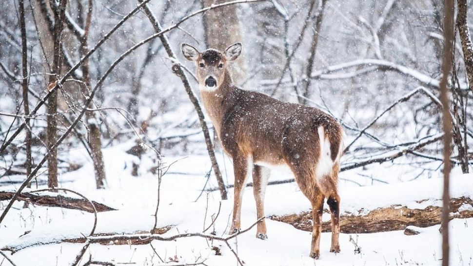 Vremea se răcește în toată țara - Prognoza pentru următoarele 2 săptămâni