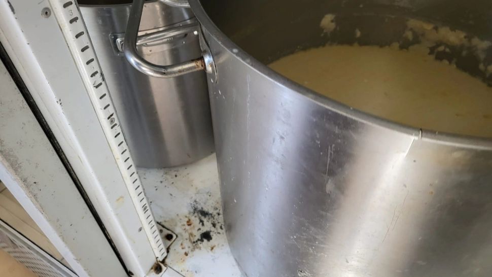 Imaginile groazei - Rugină, mucegai și gândaci în bucătăriile mai multor restaurante