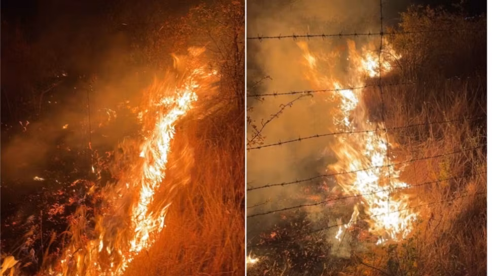 Incendiu violent în Prahova: ZECI de hectare de vegetație, în flăcări - Intervenție dificilă a pompierilor. Pericol de extindere