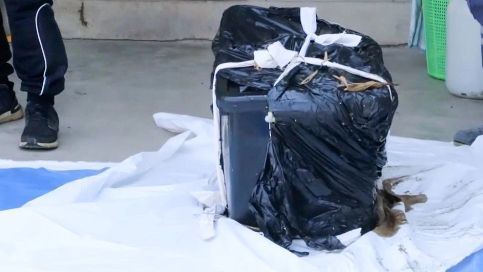 Marți, 3 ceasuri rele. Pirotehniștii argeșeni, puși pe jar de o CUTIE în care era o pisică moartă