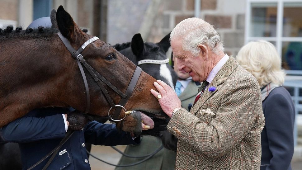 Regele Charles vinde caii de curse ai Reginei Elisabeta a II-a