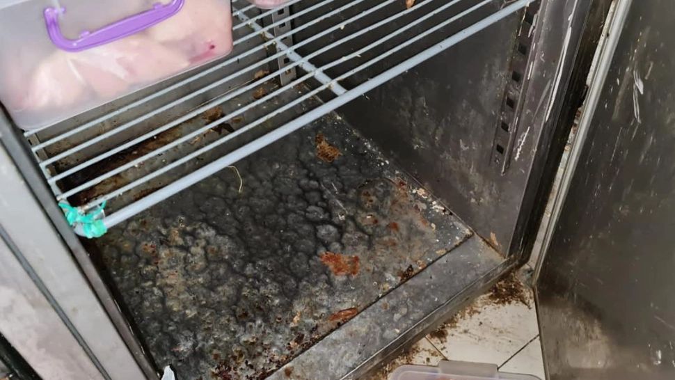 Mizerie de nedescris într-un cunoscut restaurant chinezesc din București. Ce a descoperit ANPC - VIDEO