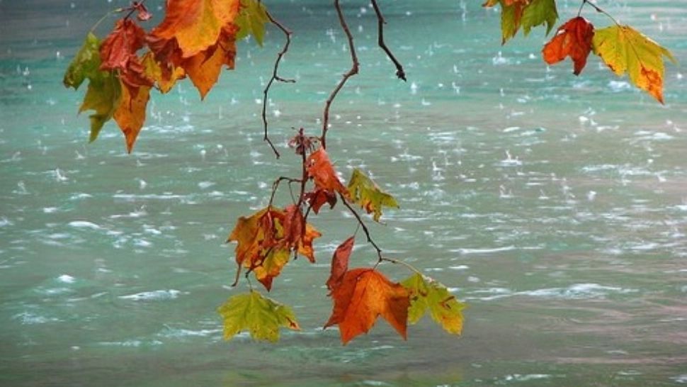 Răcire bruscă și accentuată a vremii: temperaturile coboară la 5 grade. Prognoza meteo pe două săptămâni 