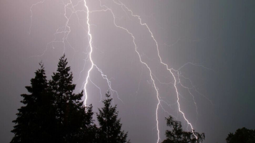 Bărbat MORT după ce a fost lovit de trăsnet, în timp ce culgea ciuperci într-o pădure 