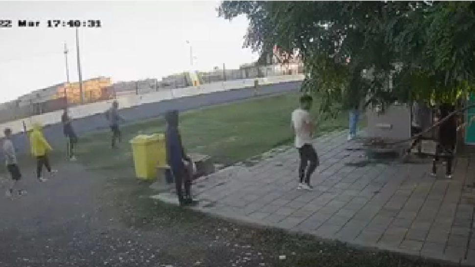 Jaf, în plină zi, dintr-o vitrină frigorifică din Tuzla: hoții sunt toți minori - VIDEO