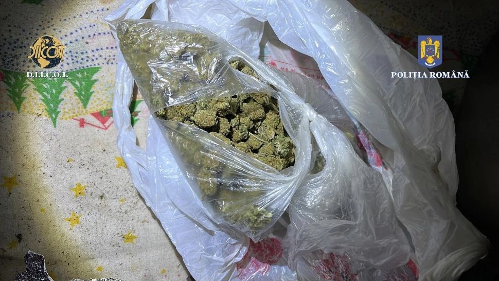 Percheziții de AMPLOARE în 4 județe ale țării: 10 persoane, arestate pentru trafic de droguri de mare risc