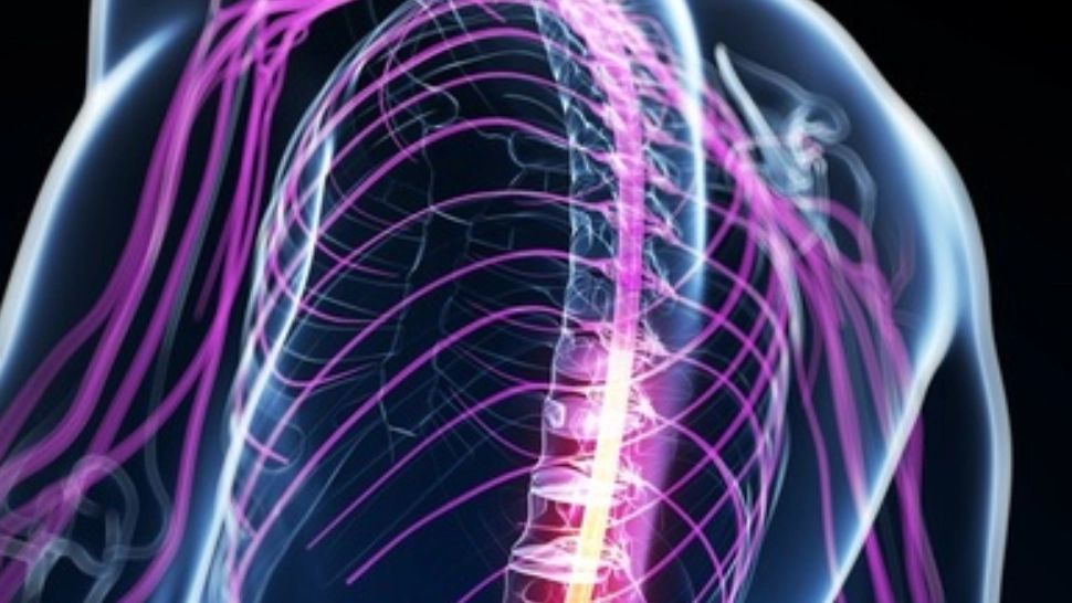 Paralizia ar putea fi reversibilă - Terapia revoluționară cu gel ce inversează efectul provocat de leziunile coloanei - VIDEO