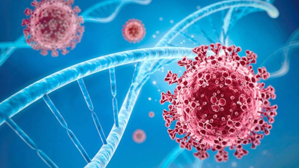 Răsturnare de situație despre CUM a început pandemia de COVID-19 - Directorul OMS, noi declarații