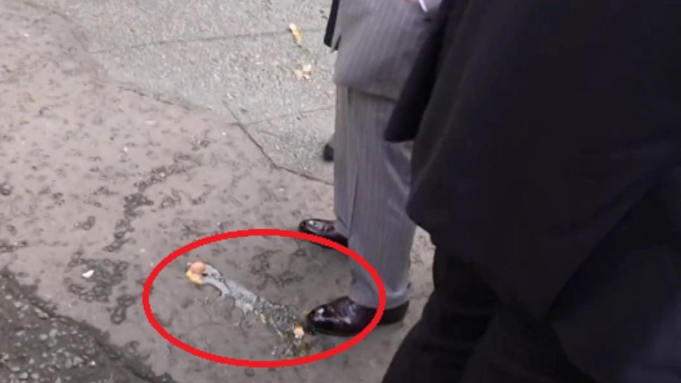 Bărbat reţinut după ce a aruncat cu un ouă înspre regele Charles. Cum a reacționat monarhul - VIDEO