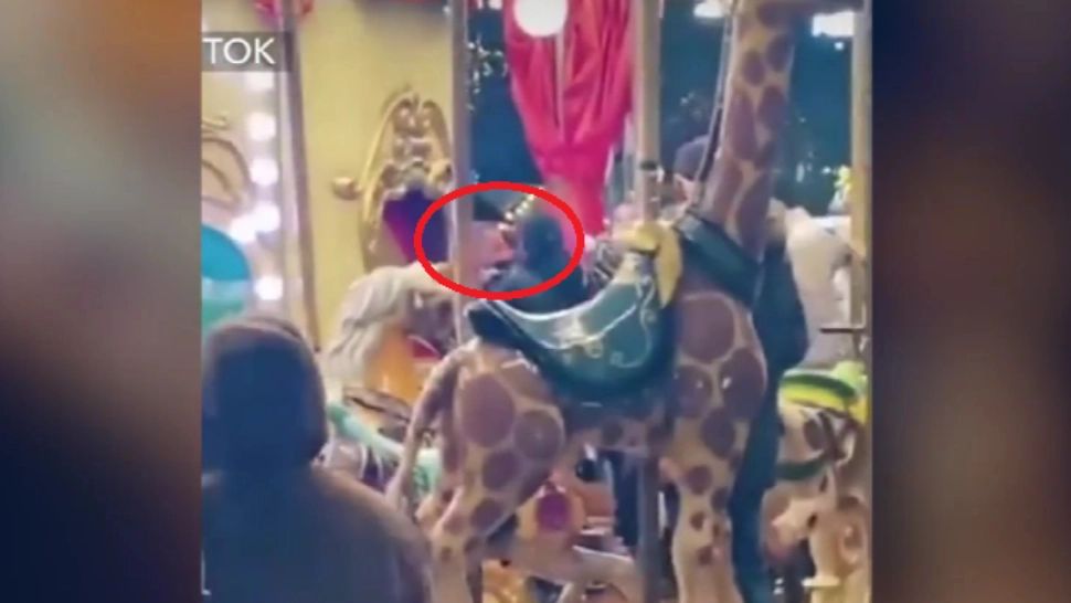 Ce MĂSURI s-au luat după bătaia cu pumni și picioare de la Târgul de Crăciun din București. Anunțul Jandarmeriei Capitalei