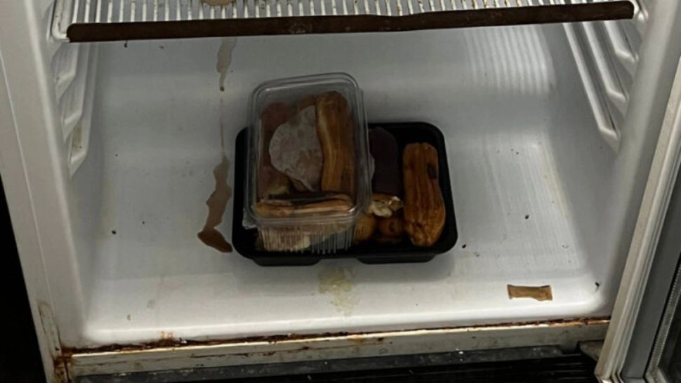 Gândaci și alimente expirate într-un local de parastase din Constanța. Restaurantul, amendat și închis temporar - VIDEO