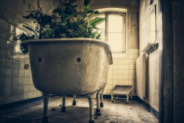 Renovau baia, când au descoperit ceva fabulos sub cadă. Valorează mai mult decât casa