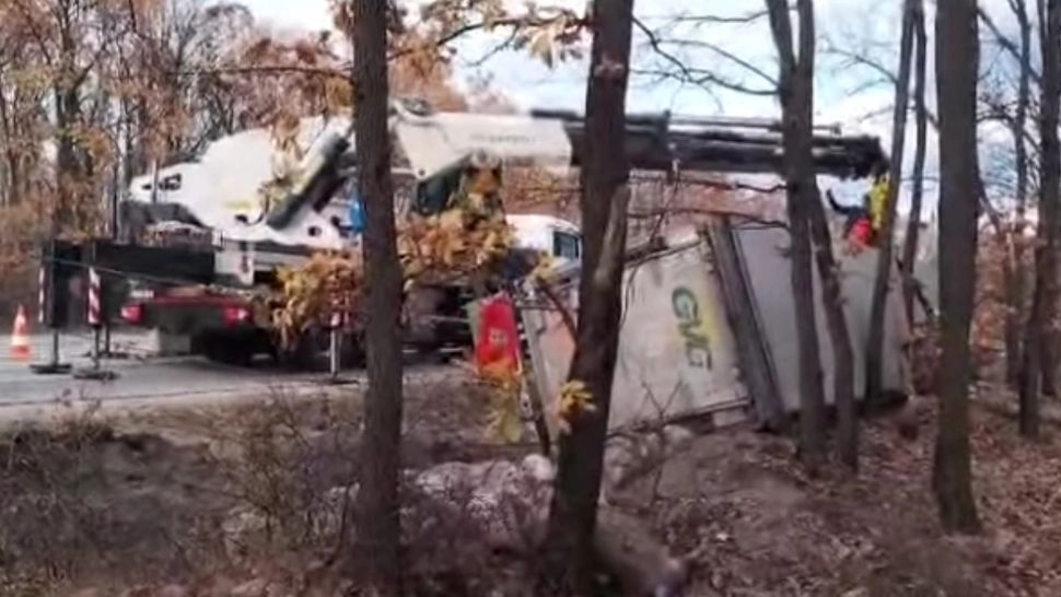 Un tir încărcat cu 180 de porci s-a răsturnat pe șosea: Peste 30 de animale au MURIT