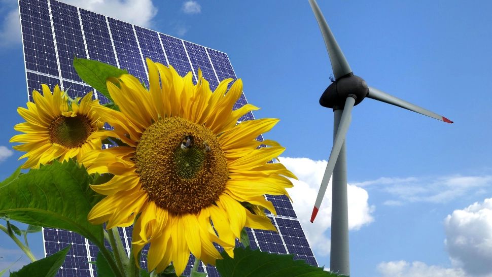 Energia regenerabilă. Eficiență sau pierdere de timp și bani. În Spania au început deja problemele. Când vor ajunge și în România?