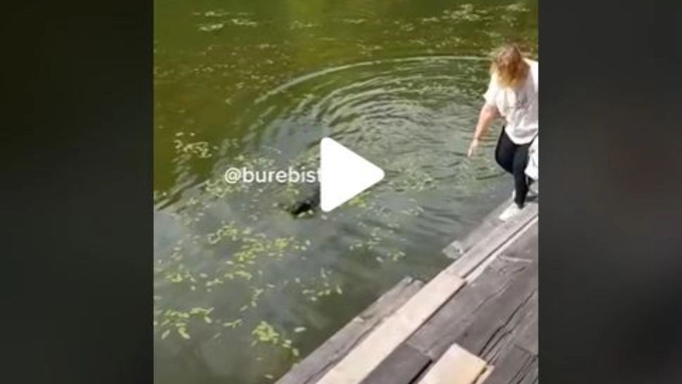 VIDEO – A vrut să-și salveze câinele căzut în apă, însă a căzut și ea, în râsetele prietenelor care o filmau