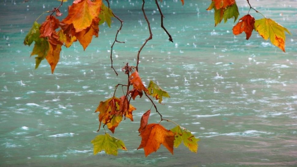 Alertă meteo. Cod galben de fenomene periculoase: cele mai afectate județe