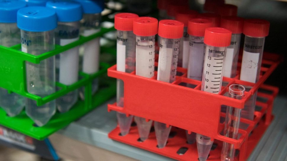 Un virus conceput pentru a combate CANCERUL a salvat viața unui bolnav terminal