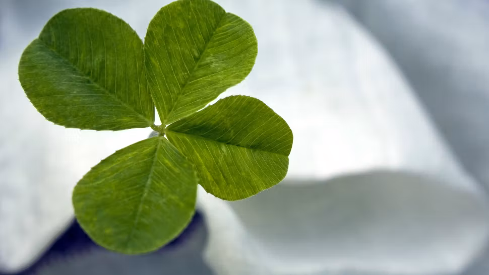 Horoscop 22 noiembrie. Zodia care începe un capitol nou - răsturnare spectaculoasă de destin 