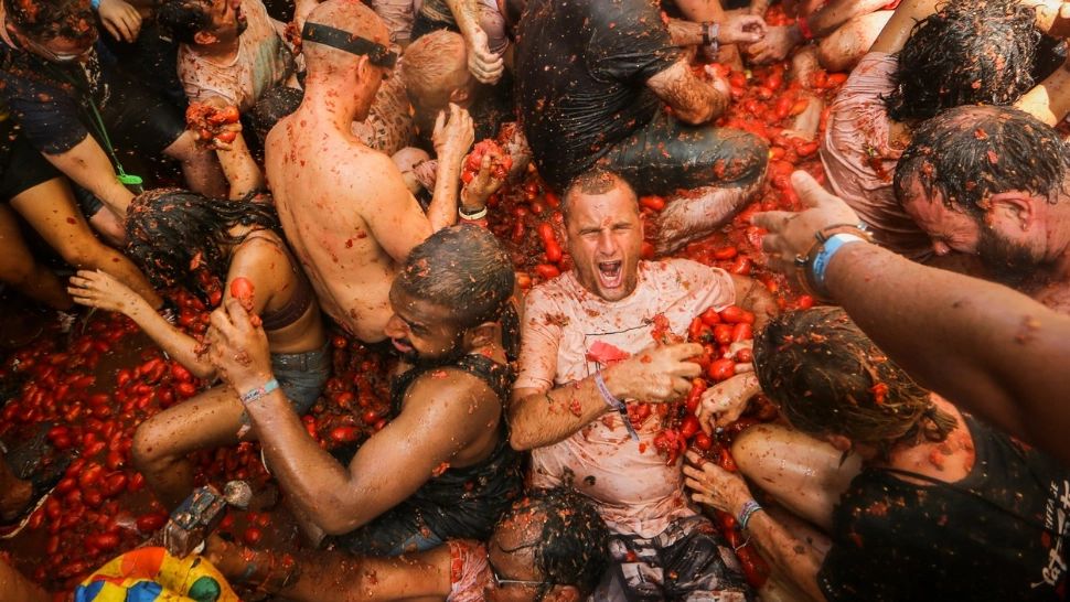 Roșia, legumă sau fruct? Disputa în care nevoia de bani a învins botanica