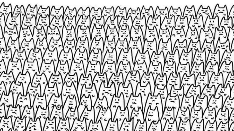 TESTUL GENIILOR - dacă îl găsești pe Batman în 5 secunde ai un IQ fabulos! 