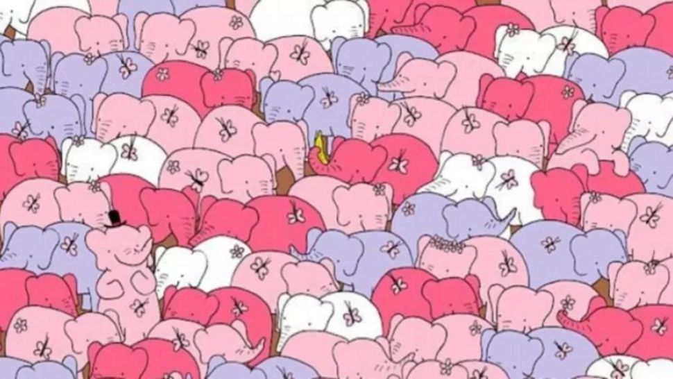 Testul de atenție și inteligență aproape imposibil de rezolvat. Tu găsești inimioara?