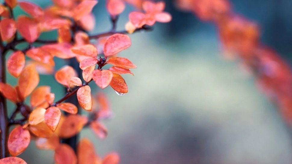 Iarna bate la ușă, dar temperaturile sunt ca în toiul verii. Când se schimbă vremea - scăderi semnificative în termometre 