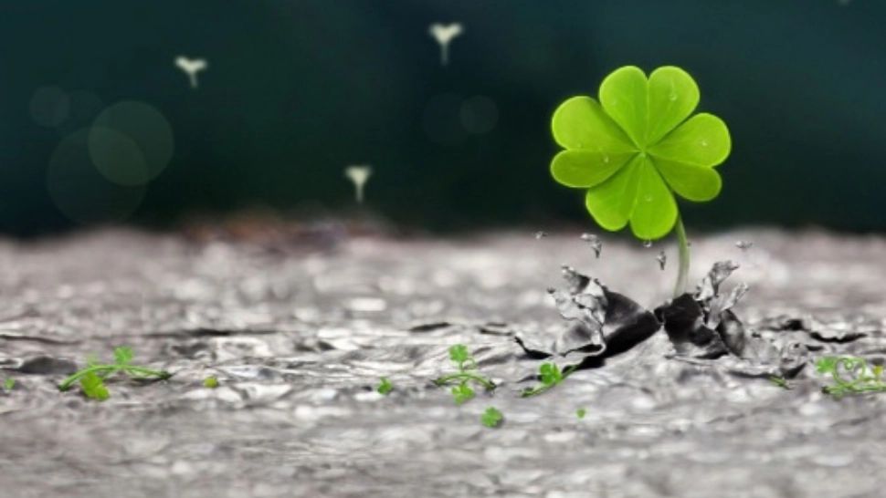 Horoscop 28 noiembrie. Zodia care stă pe un munte de bani. Se bucură de aprecierea șefilor