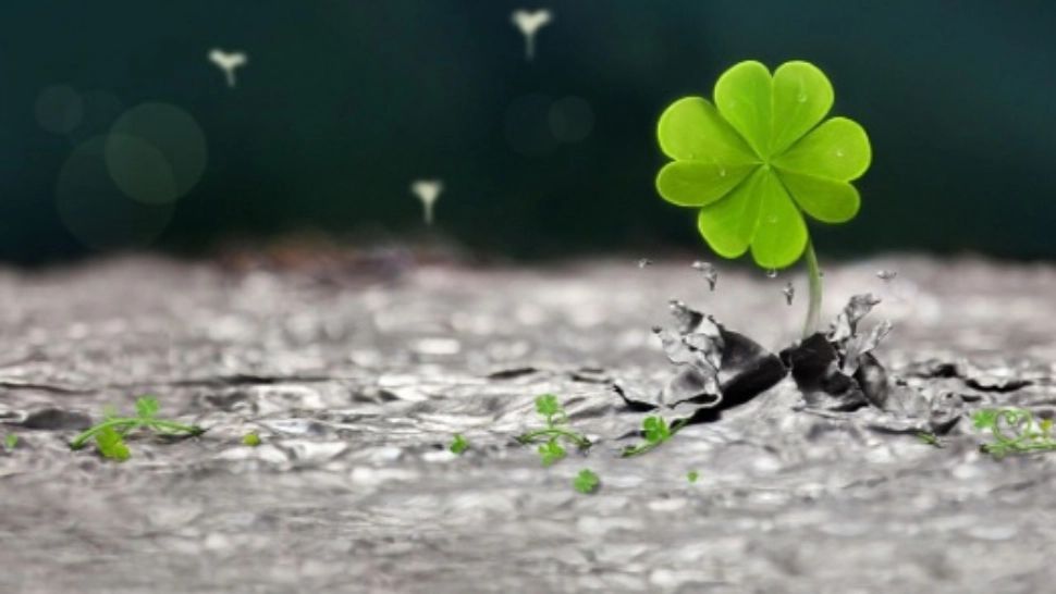 Horoscop 2 noiembrie. Zodia cu lipici la bani. Începe investiții extrem de profitabile