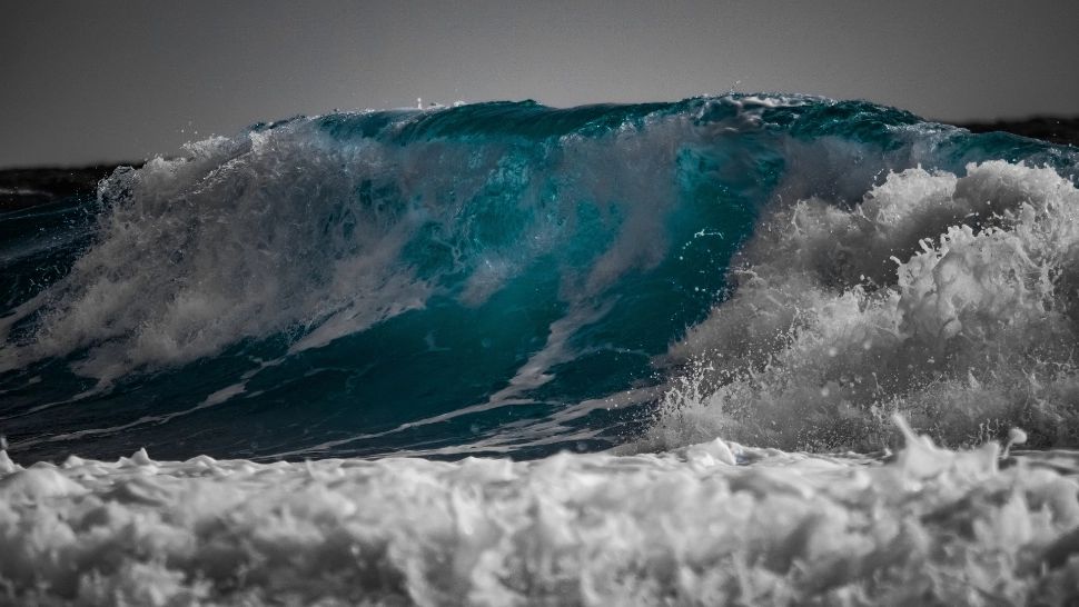 Cadavrele a trei bărbați torturați, aduse de valuri la mal, pe două plaje