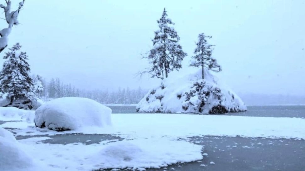 Cea mai grea iluzie optică de iarnă. Găsește ursul polar în 15 secunde - numai cei cu inteligență peste medie reușesc