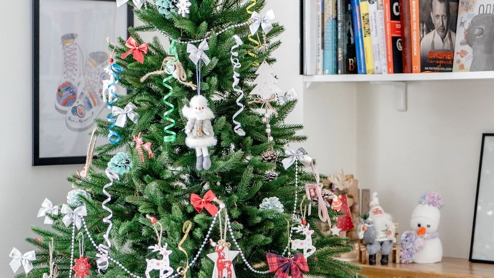 Ce să faci pentru ca bradul tău de Crăciun să reziste mai mult