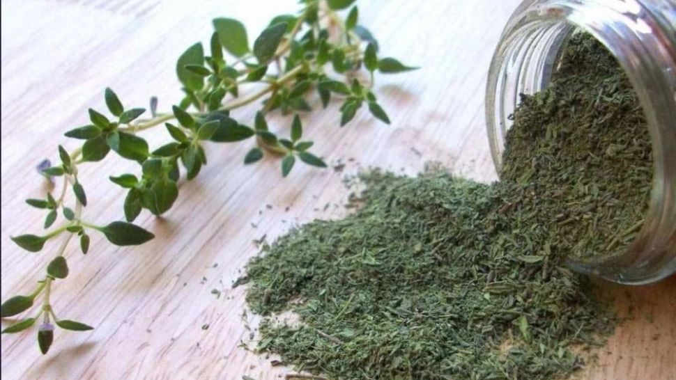 CIMBRUL, planta cu efecte miraculoase - Top 14 beneficii pentru sănătate