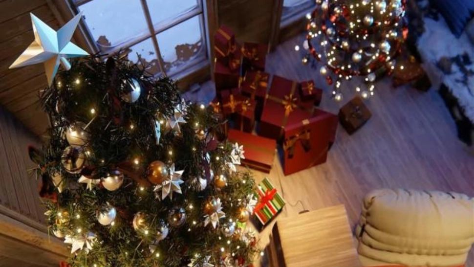 Cum să păstrezi bradul de Crăciun verde și proaspăt săptămâni la rând - Trucurile pe care trebuie să le știi